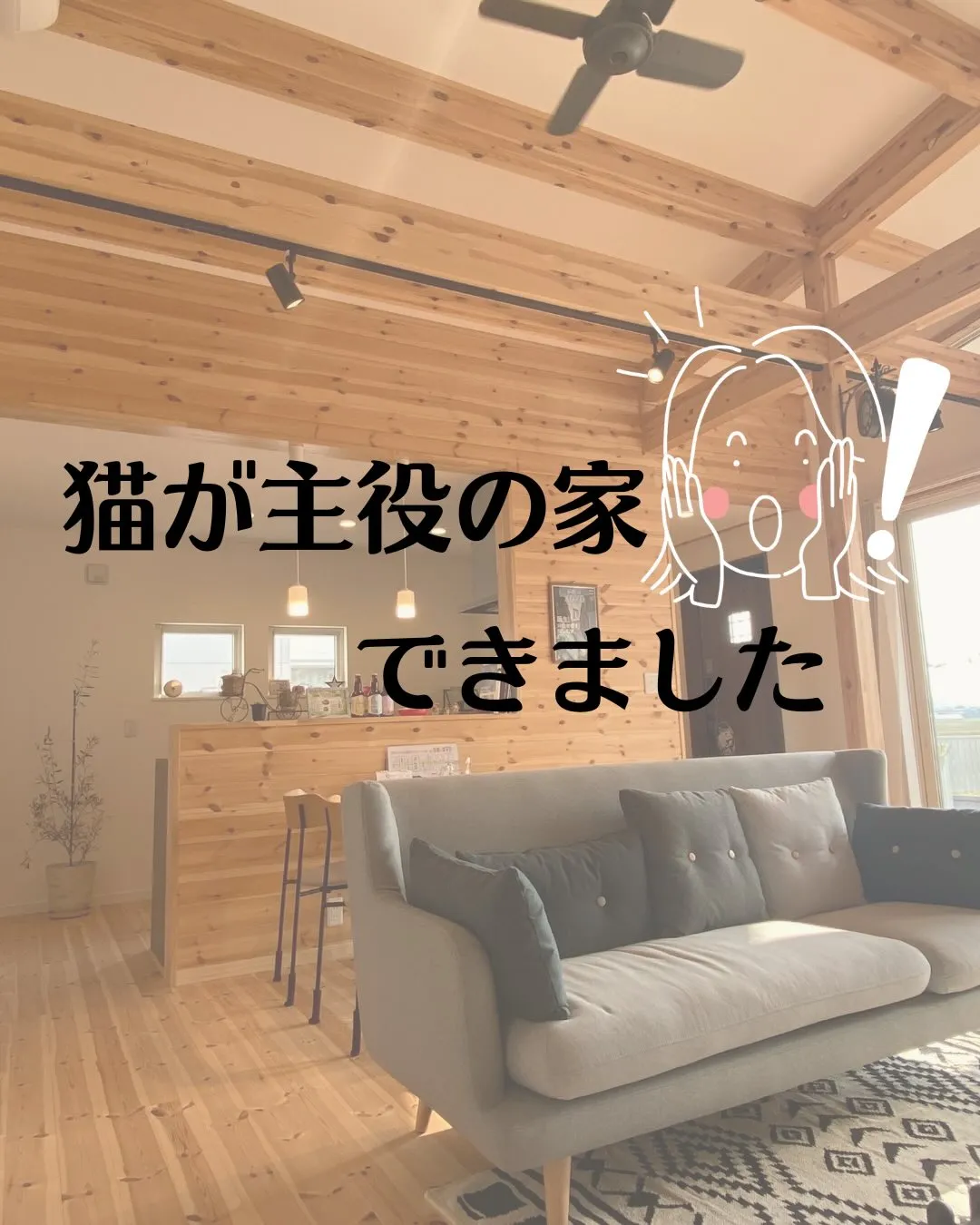 猫が一番くつろげる場所。