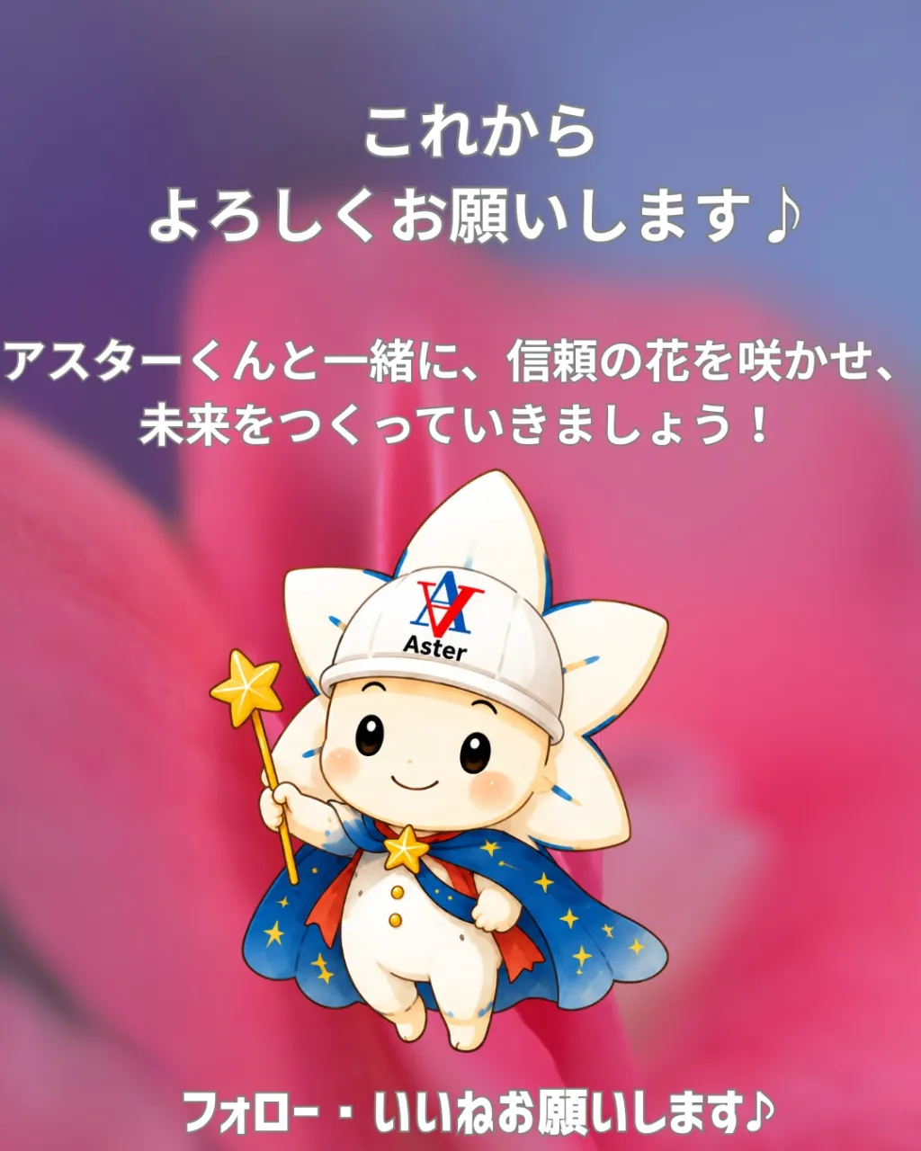 🌼 改めてご紹介！アスターくんです⭐